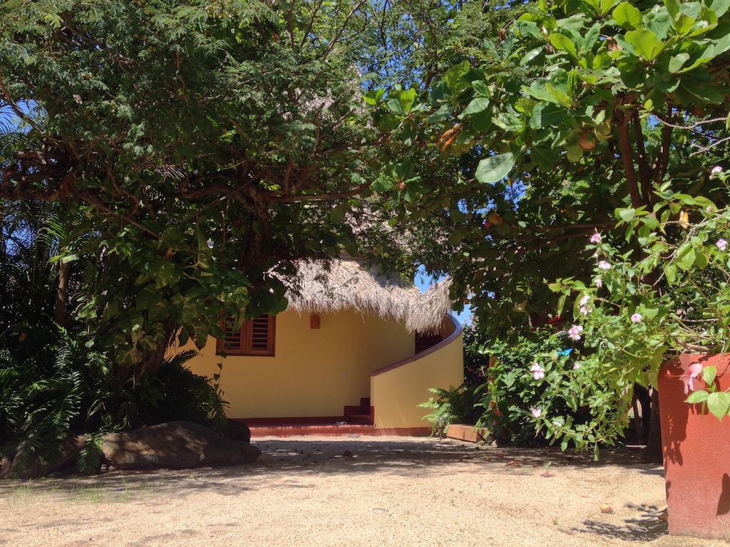 Troncones Point Hostel Exteriör bild
