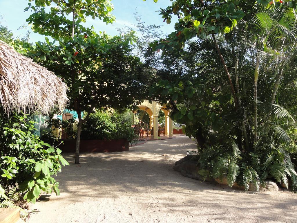 Troncones Point Hostel Exteriör bild