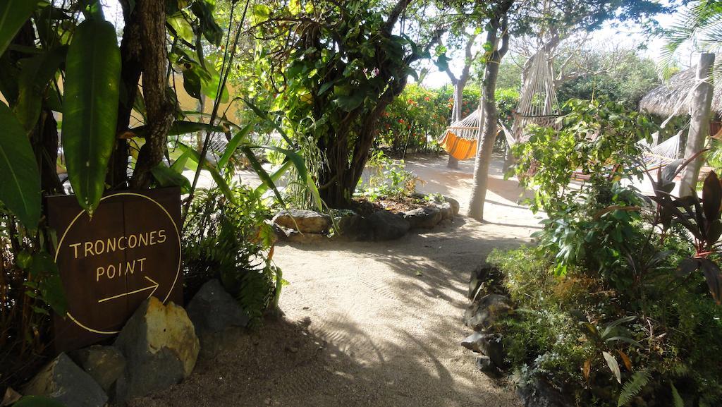 Troncones Point Hostel Exteriör bild